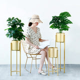 75cm Gold Metal Plant Stand with Flower Pot Holder Corner Shelving Rack Indoor Display