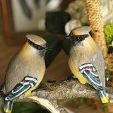 Decorative Birds Wall Hooks