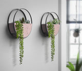 Circular Wall Mounted Decorative Plant Pot