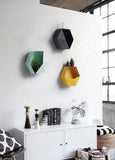 Creative Hexagon Deco Rack